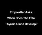 when the fetal thyroid gland develops