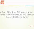 urinary tract infection transmission during sex