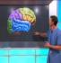 how alzheimers disease affects the brain